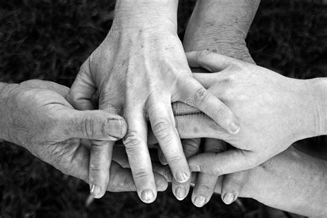 United Hands stock image. Image of power, love, hand - 17377735