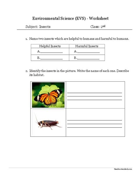 Buy Worksheets For Class 1 Environmental Science Evs Online In Grade
