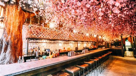 Celebrate Dcs Cherry Blossoms At This Hip Pop Up Bar Trekbible