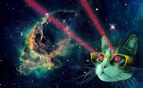 Ojos Láser De Gato Espacial Espacio Gato Fondo De Pantalla 640x393