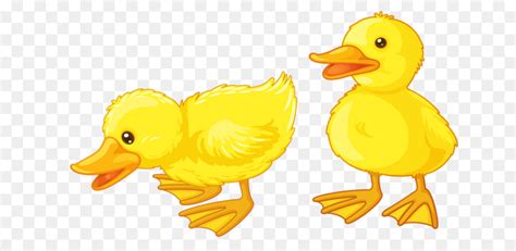 Duckling Clipart Duckling Transparent Free For Download On