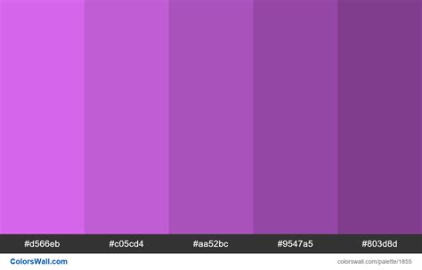 Purple Shades Colours D566eb C05cd4 Aa52bc Colorswall