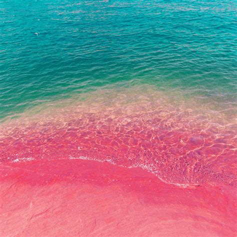 Pink Sea Wallpapers Top Free Pink Sea Backgrounds Wallpaperaccess