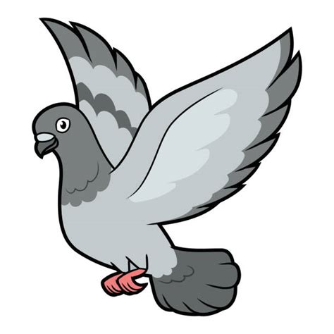 White Pigeon Cartoon Illustrations Royalty Free Vector Graphics And Clip