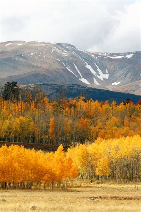 Cold Autumn Day In The Rockies Stock Image Image Of Golden Outside