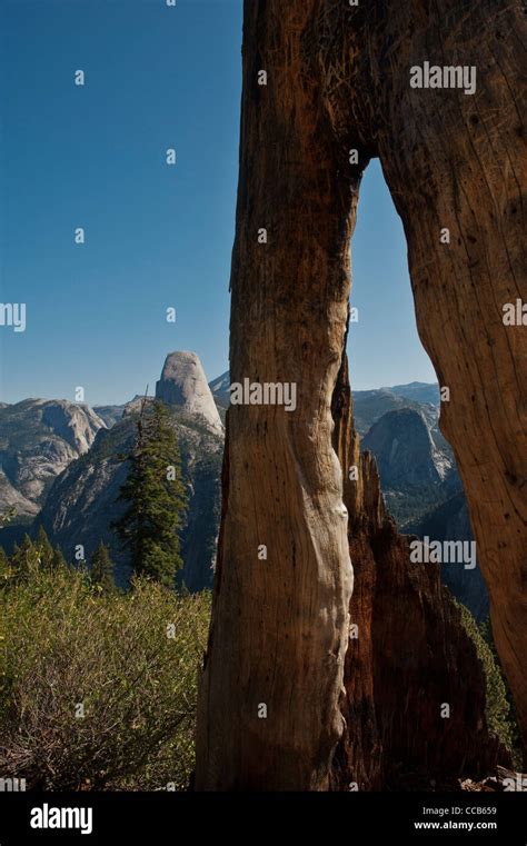 Half Dome Viewed From The Panoramic Trail Off Glacial Point Yosemite National Park California