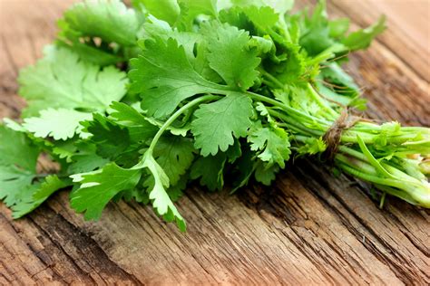 10 Surprising Foods To Substitute The Parsley