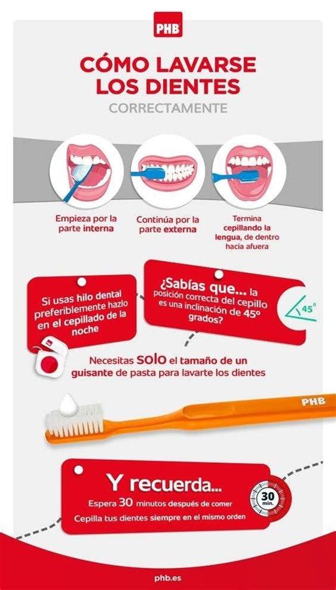 17 Infografías Para Tener Una Sonrisa Ganadora Como Lavarse Los Dientes Salud Bucal Higiene
