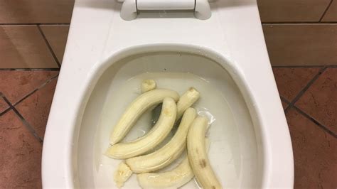 will it flush 6 bananas youtube