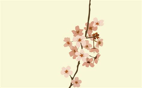 Simple Flower Desktop Wallpapers Top Free Simple Flower
