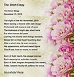 The Short Elegy - The Short Elegy Poem by Muzahidul Reza