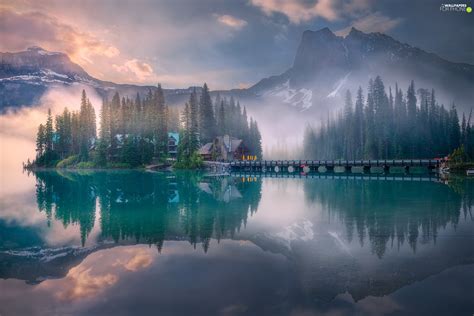 Fog Emerald Lake Bridge Province Of British Columbia Mountains