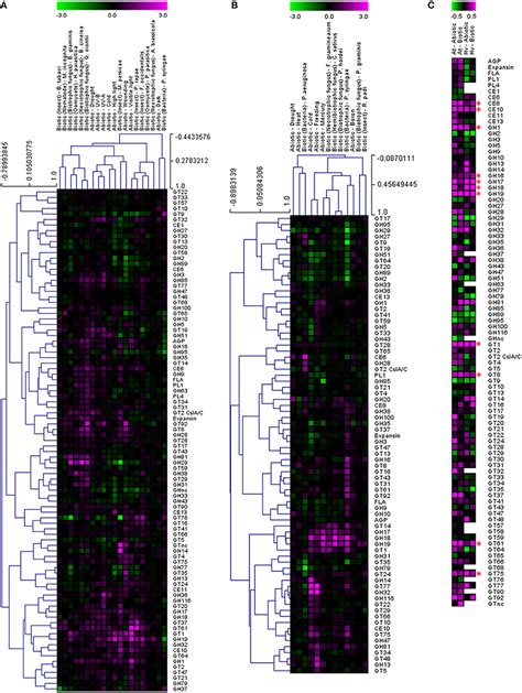 It is formed at the time of cytokinesis by the joint activity of functions of cell wall: Frontiers | The Plant Cell Wall: A Complex and Dynamic ...