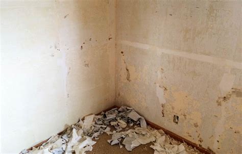 How To Repair Sheetrock After Removing Wallpaper Tcworksorg