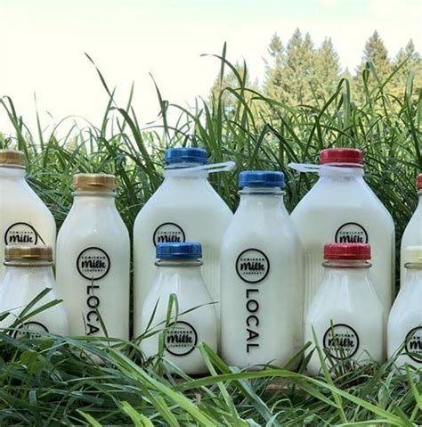 Simply choose all the dairy essentials you love, select a milkman in your area and specify your preferred deliver days. Farm Fresh Milk Deliveries : farm fresh milk delivery