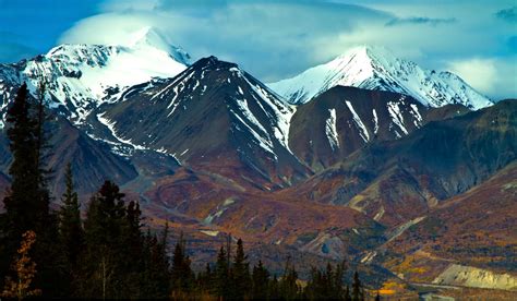 Kluane National Park And Reserve