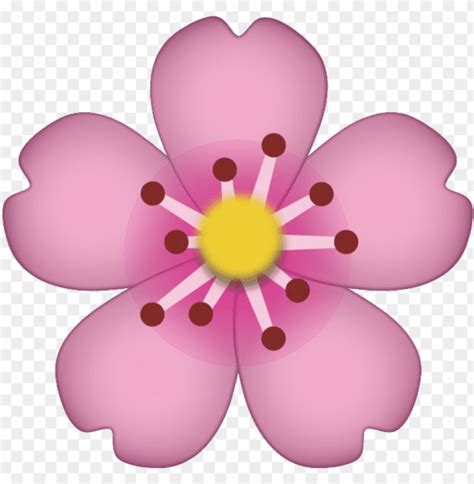 Download Cherry Blossom Icon Cherry Blossom Emoji Png Transparent