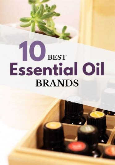 Top 10 Best Essential Oil Brands In 2022 News
