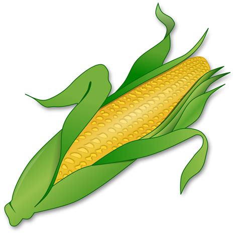 Corn Silk Clipart Clipground