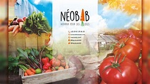 Neobab | Projets d’économie circulaire et agriculture urbaine