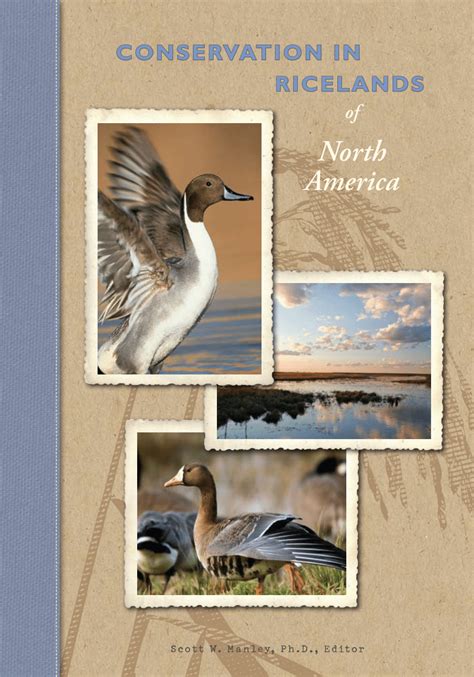 Pdf Wildlife Values Of North American Ricelands