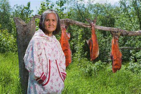 Elder Native Yupik Woman Standing In Front Of Fish Drying Rack At Fish