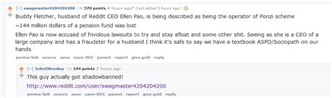 The Ugly History Of Reddit CEO Ellen Pao And Her Husband Buddy Fletcher