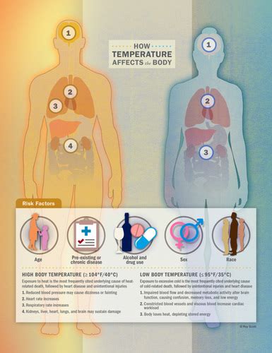 Between Extremes Health Effects Of Heat And Cold Environmental