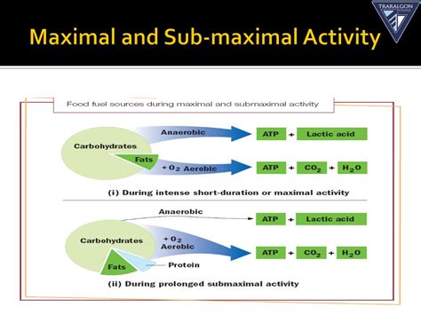 Other macronutrients include fat and protein. PPT - Aerobic and anaerobic pathways - an introduction to ...