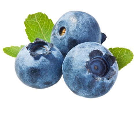 Blueberries Png Transparent Image Download Size 1000x828px