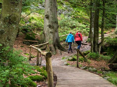 It runs along the czech border a. Nationalpark Bayerischer Wald | Natururlaub in Bayern