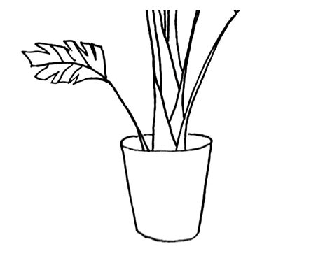 How To Draw A Pot Plant Step By Step Drawing Tutorial Bujo Babe