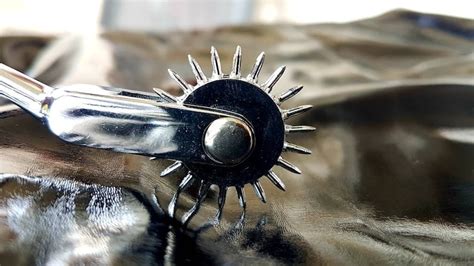 Bdsm Wartenberg Wheel Spike Stainless Steel Torture Toy Etsy