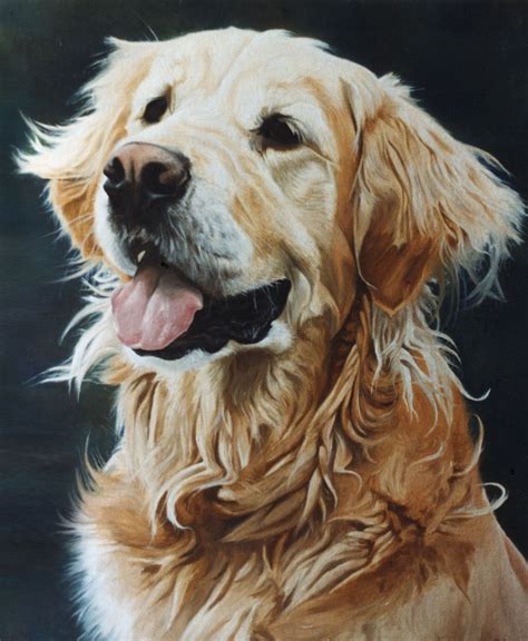 Golden Retriever Dog Portrait 1 Oils On Canvas Golden Retriever Art