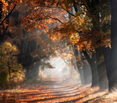 Autumn Poland On Behance