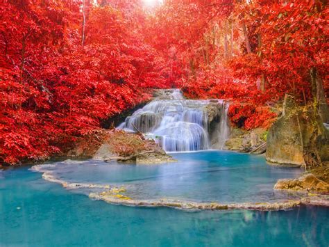 Rouge Forêt Chute Eau Turquoise Lac Nature Haute Qualité Hd Fond D