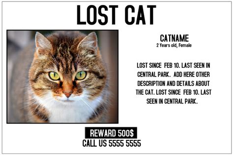 Secretary at design agency loses her cat and asks graphic designer to create a 'missing' poster. lost cat lost pet landscape poster template | PosterMyWall