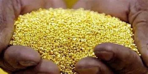 How Illegal Gold Mining In Nigeria Is Rips Off Forex Revenue Business