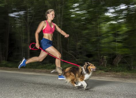 Tips For Safely Running With Dogs