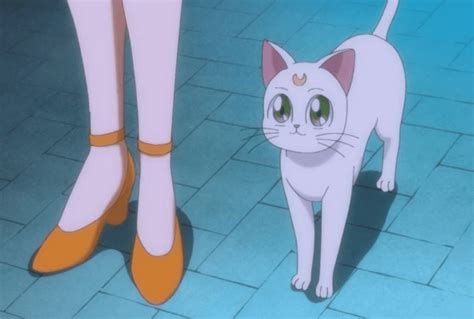 Sailor Moon Artemis