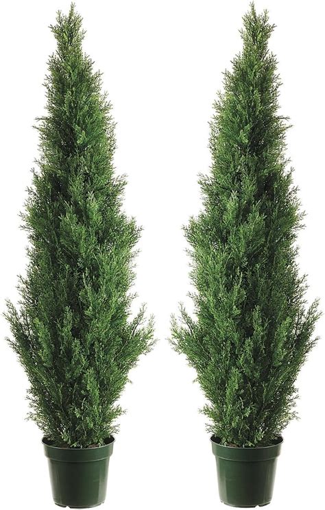 Two 4 Foot Outdoor Artificial Cedar Topiary Trees Uv Bangladesh Ubuy