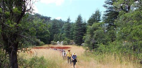 Ehden Forest Reserve Hike With Promax