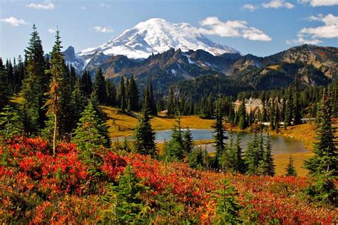 Autumn Colors In Mt Rainier National Park Photo Shutterstock