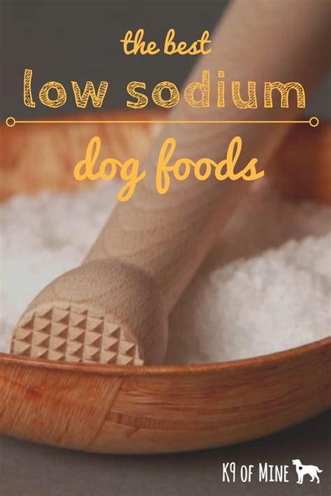 Condiments such as ketchup, barbecue sauce, or soy sauce. 6 Best Low Sodium Dog Foods: 2020 Reviews for Low Sodium ...