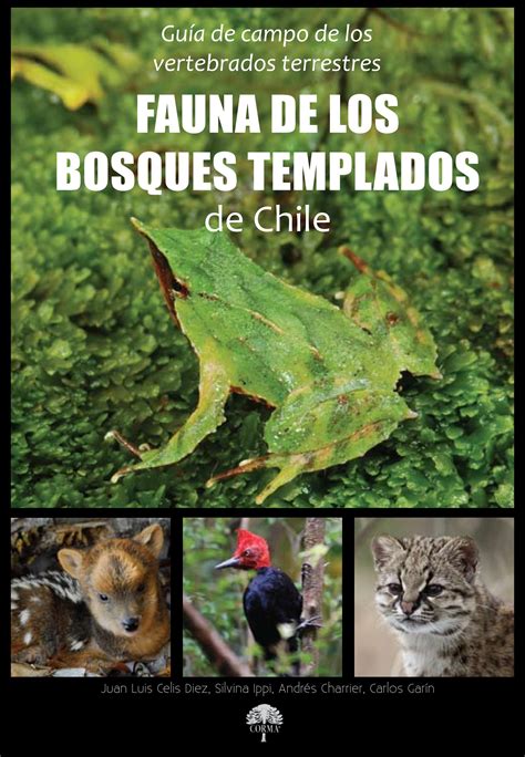 Fauna De Los Bosques Templados De Chile Guía De Campo 2011