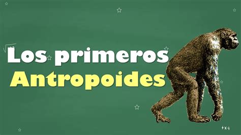 ⭐los Primeros Antropoides 📘 Aulamedia Historia Youtube