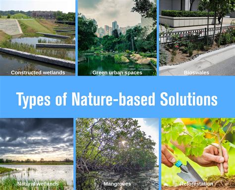 Nature Based Solutions The Advantage Of Being A Developing Country