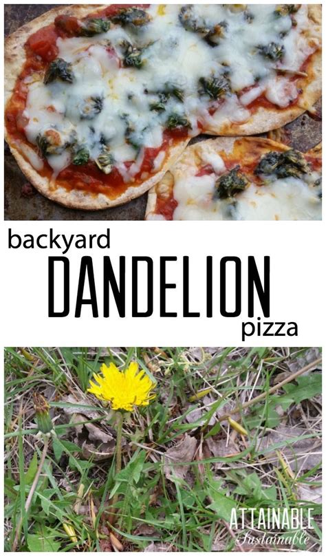 Foraging For Dandelions Give This Homemade Pizza A Try Homestead ~ Garden ~ Cooking