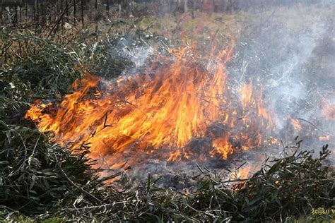 Drvarčanin palio travu pa komšiji zapalio krov Info Balkan
