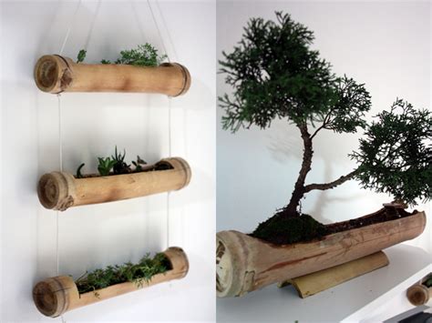 La mejor forma de decorar con bambu. BLOG DE AVENTURAS: Decorando nossa sala com plantas e vaso ...